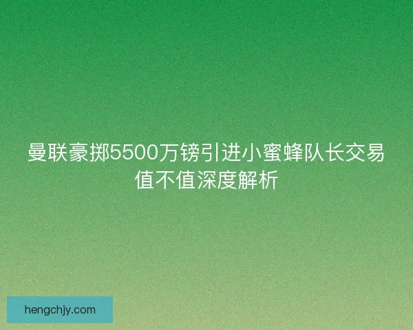 曼联豪掷5500万镑引进小蜜蜂队长交易值不值深度解析 曼联豪掷5500万镑引进小蜜蜂队长交易值不值深度解析